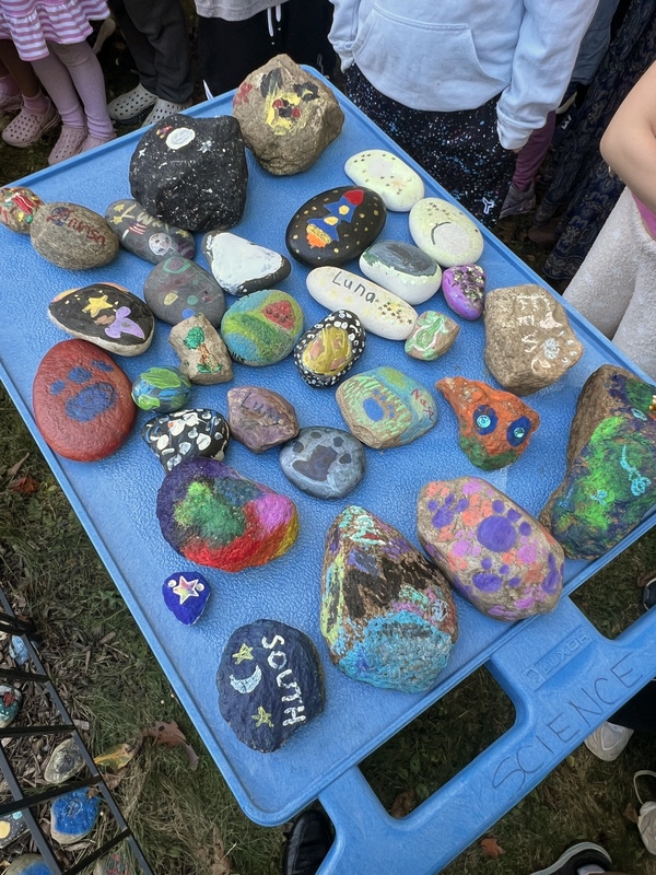 Hand-painted rocks inspired by ‘Luna’, created by South School students