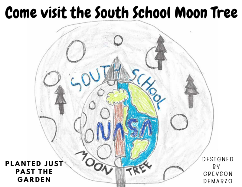 Artwork celebrating ‘Luna ’, the South School Moon Tree