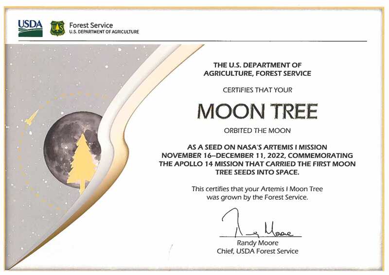 Artemis I Moon Tree Certificate