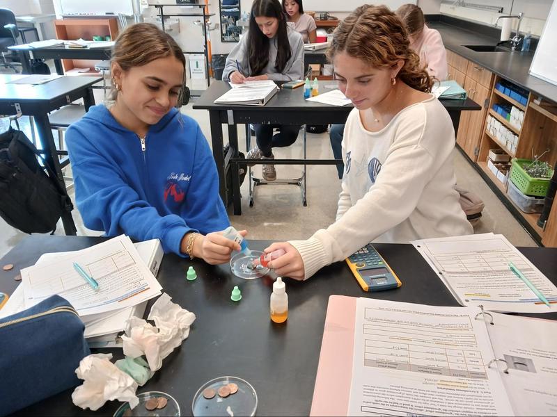 students working together in science class while exploring curiosity