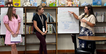 Mayo Teachers Taking Part in Professional Development