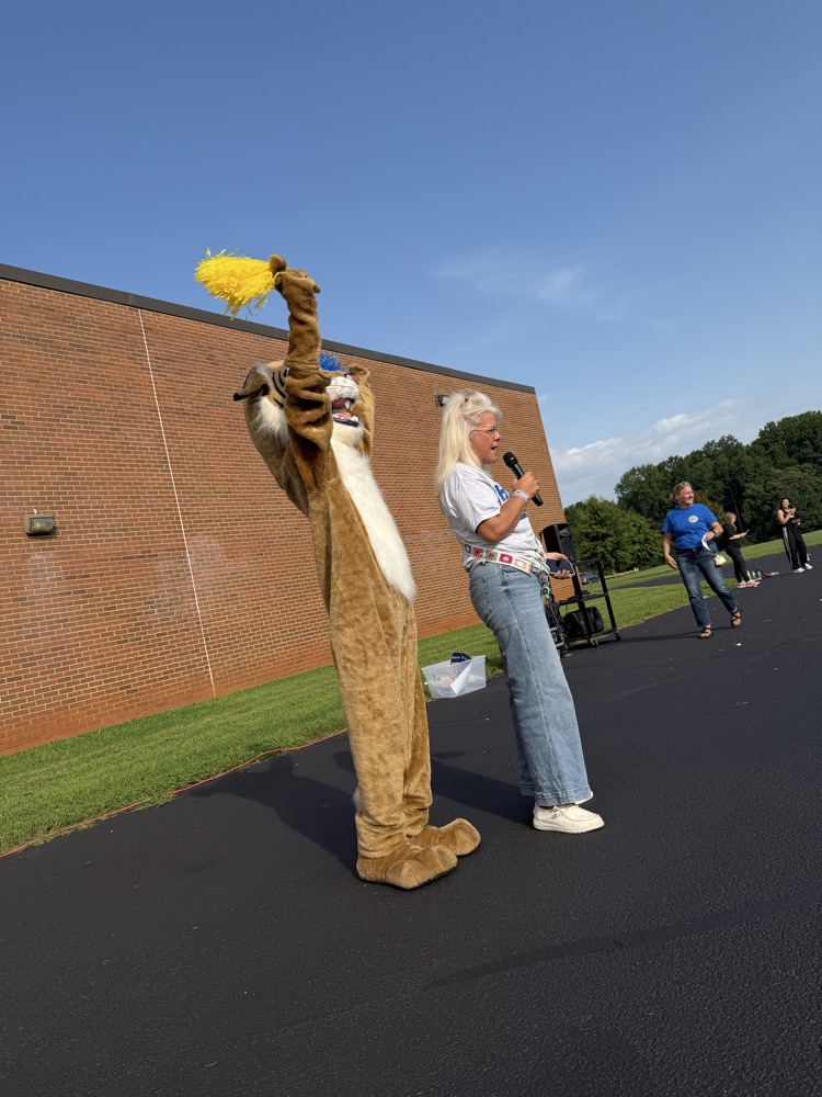 principal and wildcat