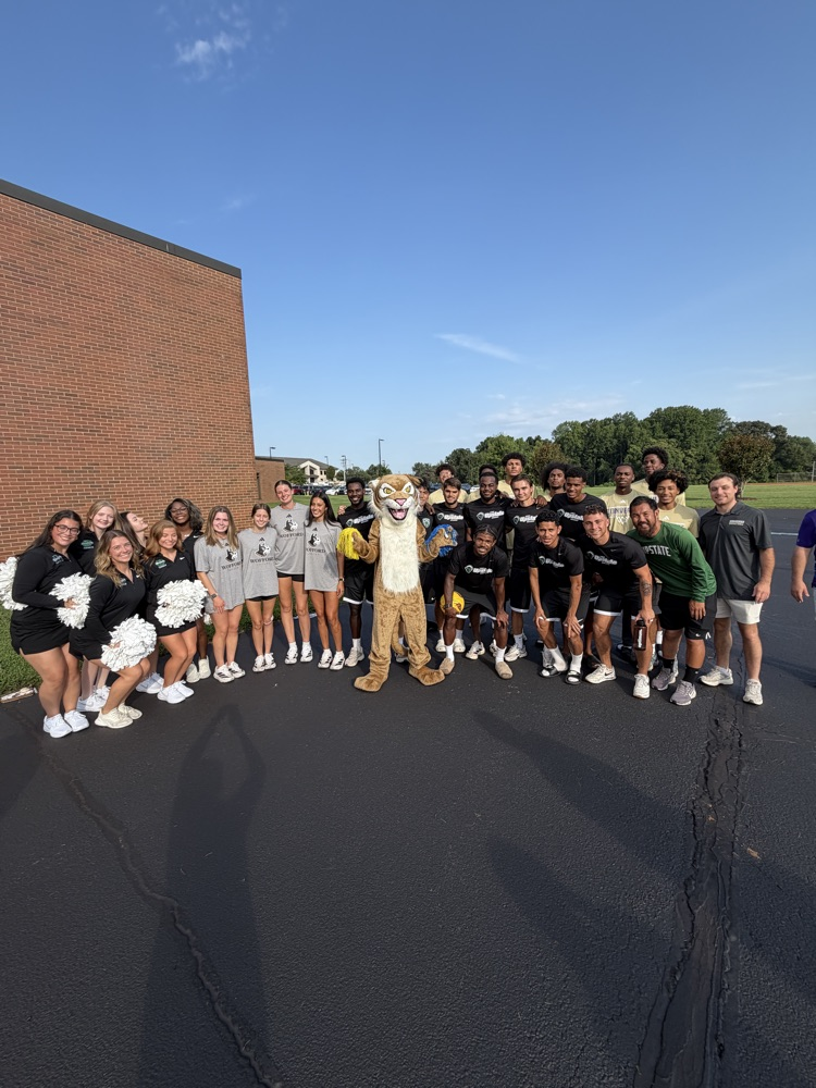 cheerleaders and wildcat