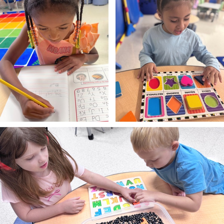 students learning in the classroom