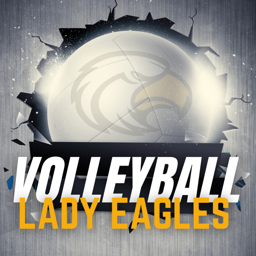 Volleyball Update