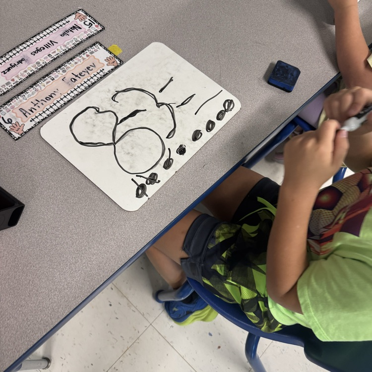 first grade math