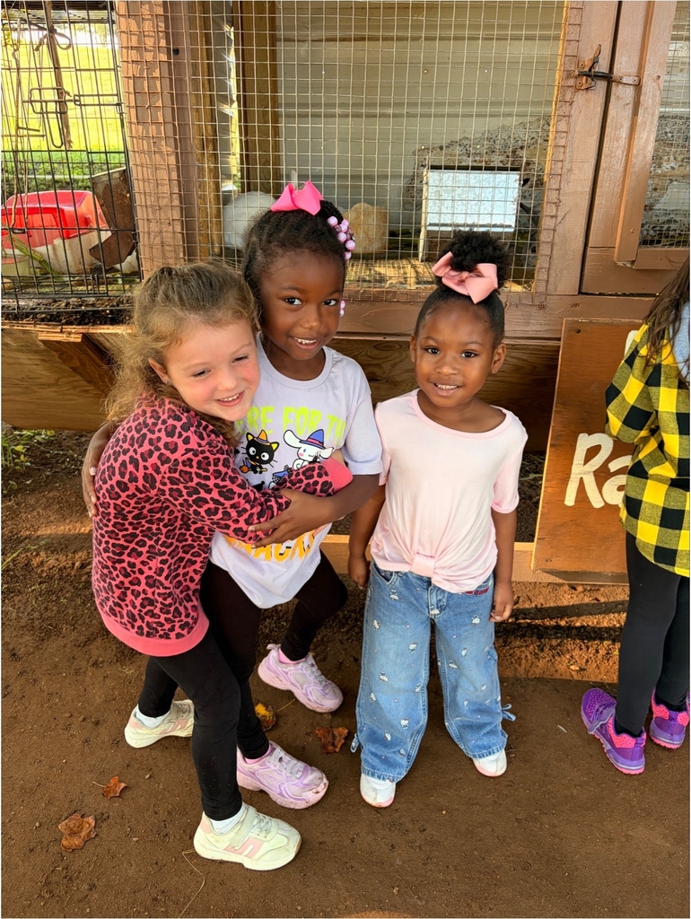 Farm fun with kindergarten! 
