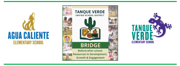 BRIDGE -Before and After School Care