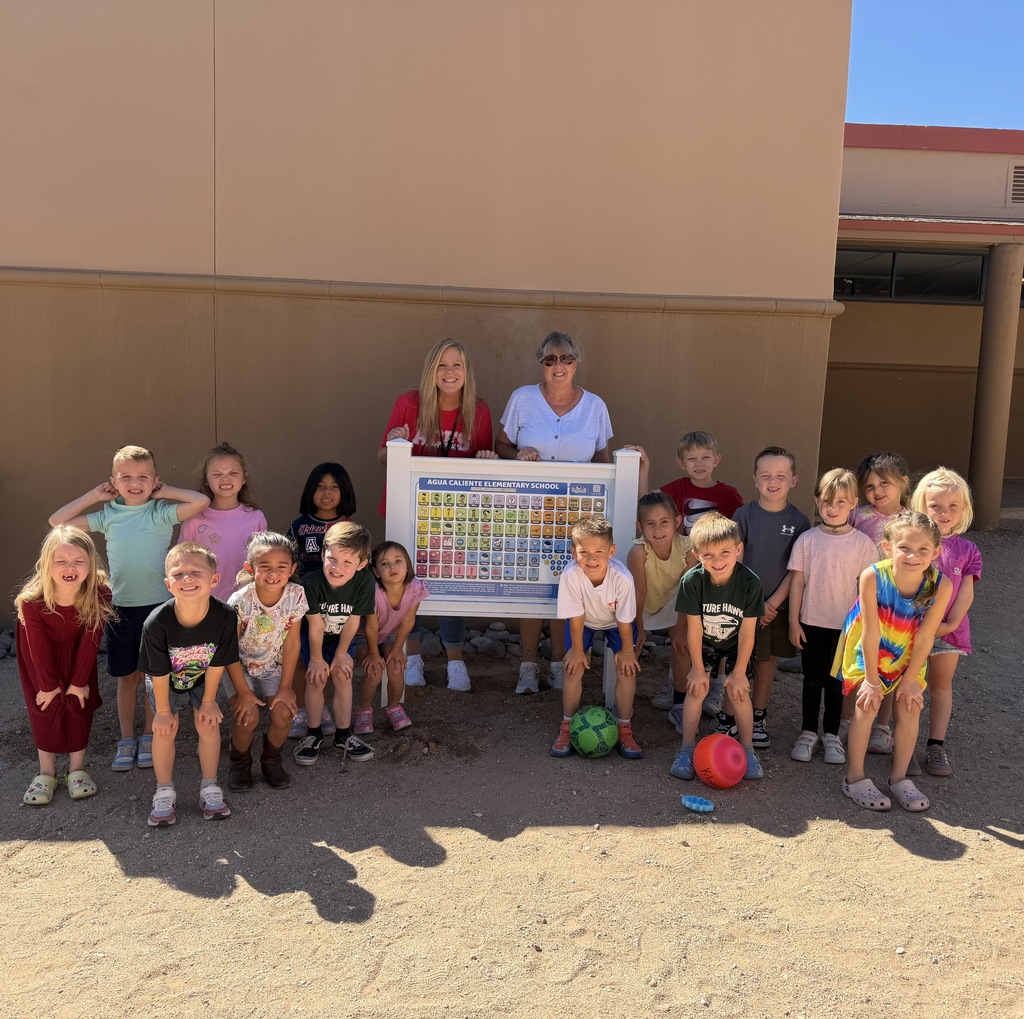 ACES Communication Board