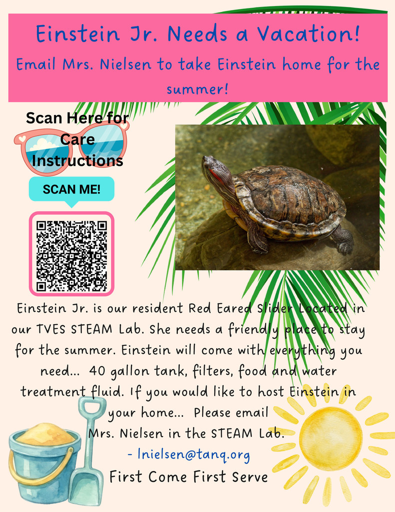 An advertisement for hosting Einstein Jr, a turtle. It includes an image of the turtle and a QR code.