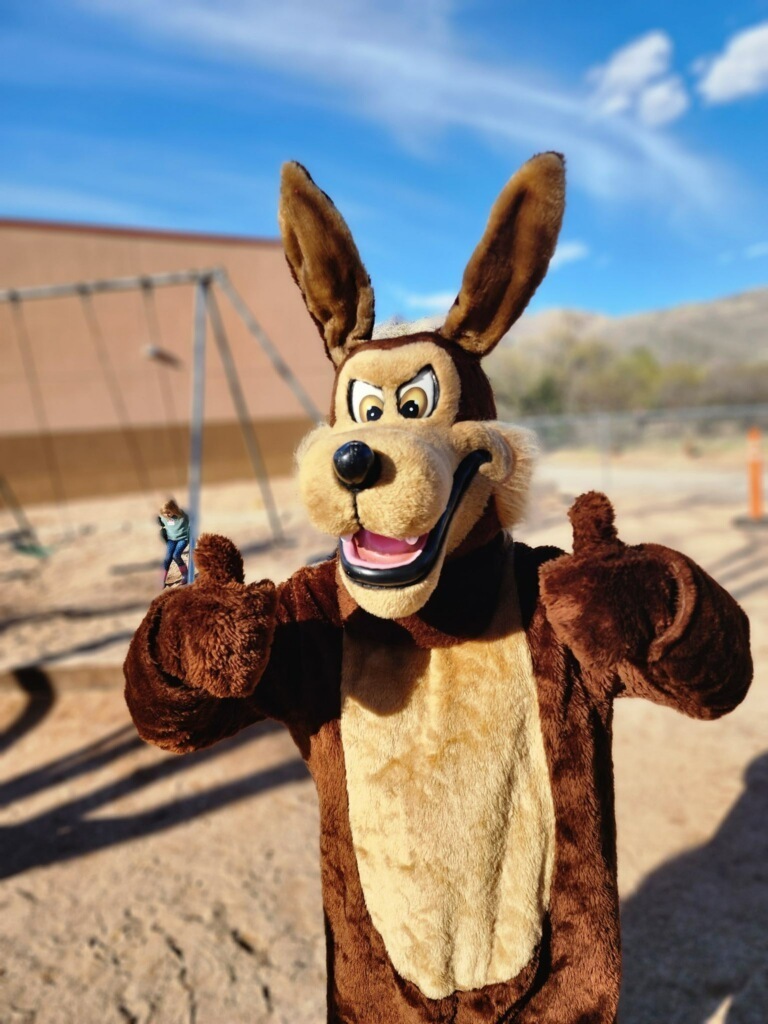 ACE the coyote