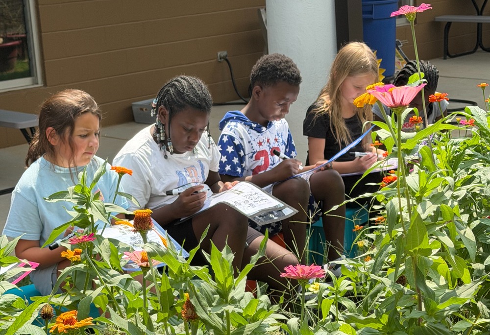 students observing insects
