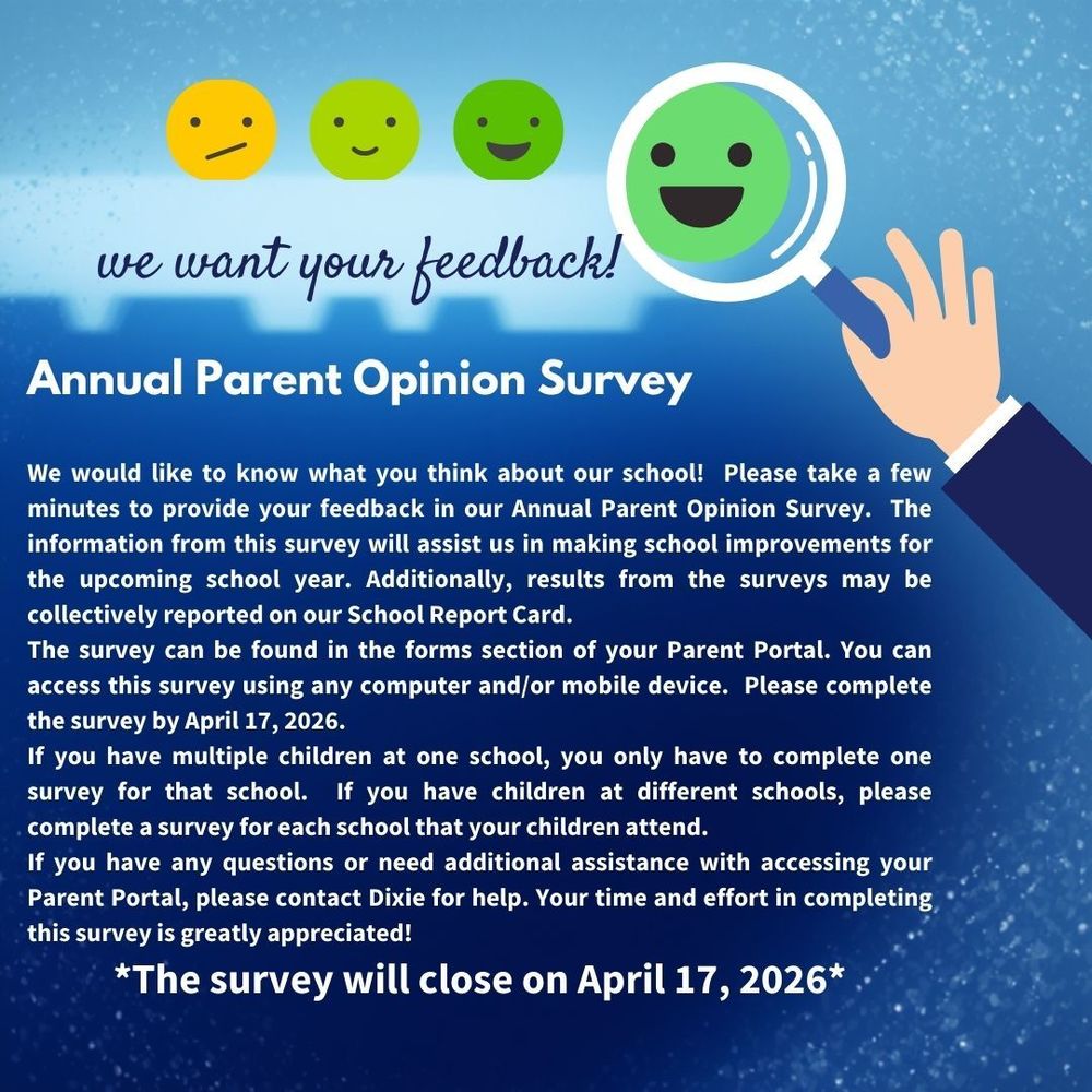 Opinion Survey Flyer