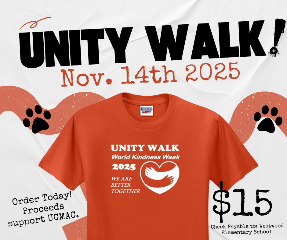 Unity Walk Tshirt add