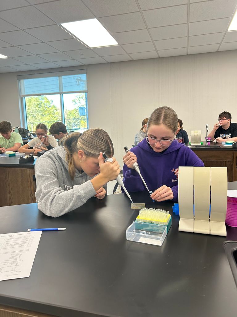 Students working in lab. 