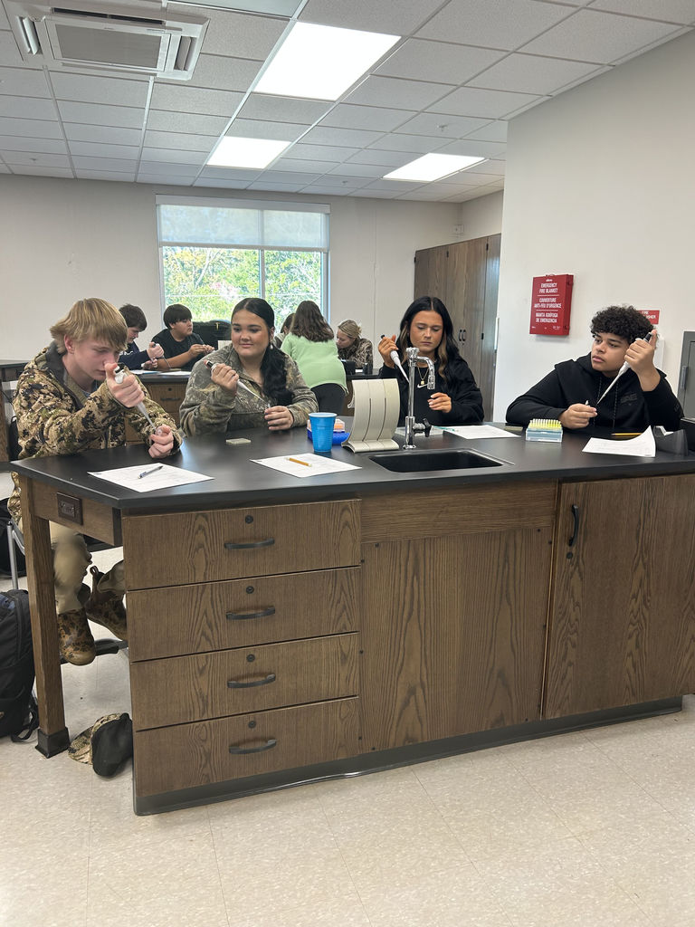Students working in lab. 