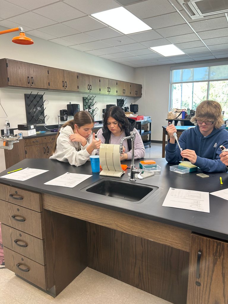 Students working in lab. 