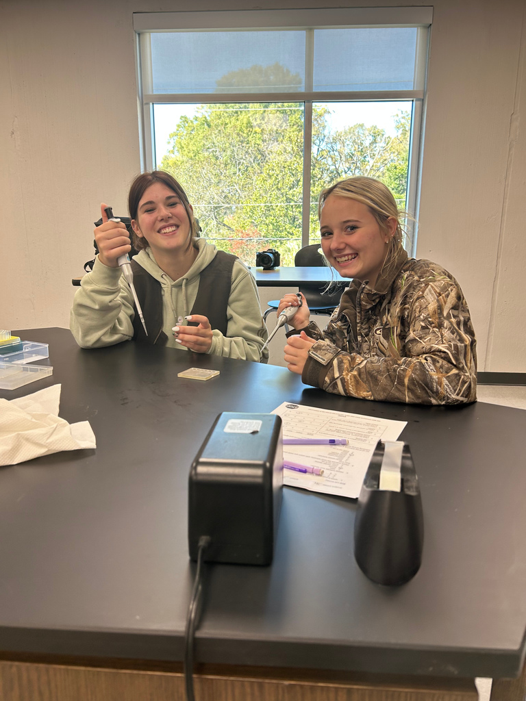 Students working in lab. 