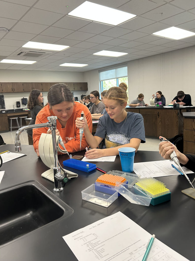 Students working in lab. 