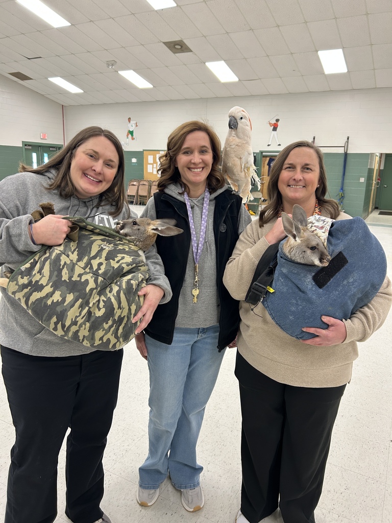 teachers posing with kangaroos