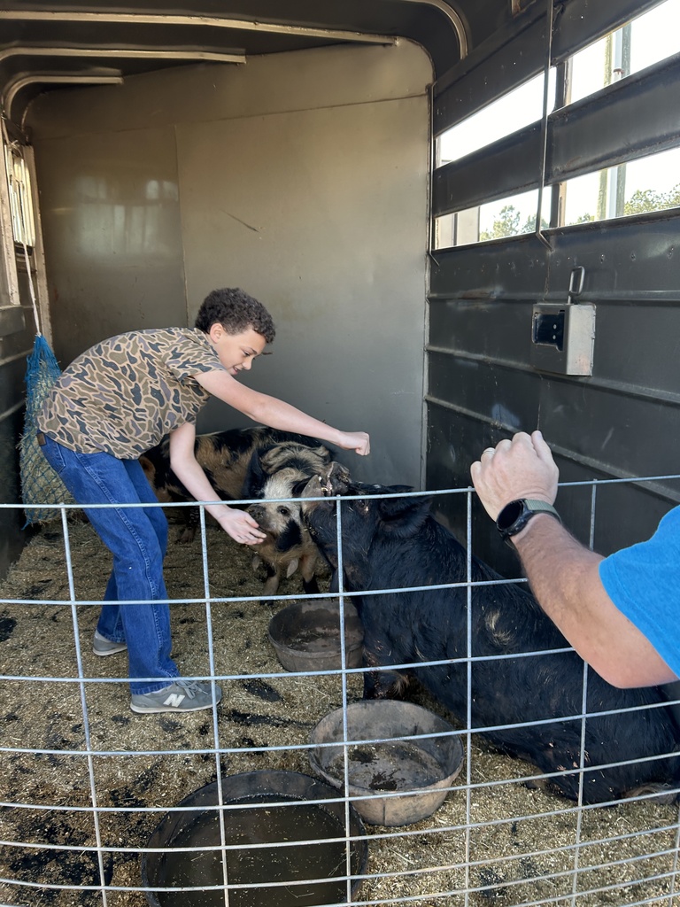 farm day