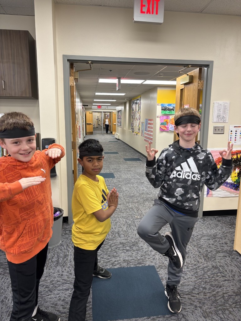 Newest Gray Belts!