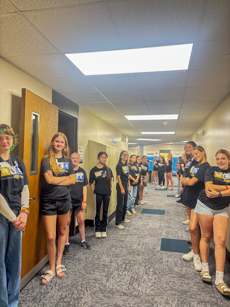 Holgate WEB leaders