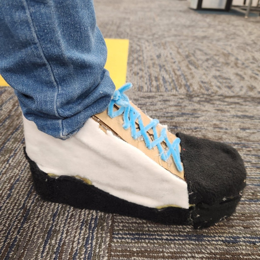 shoe