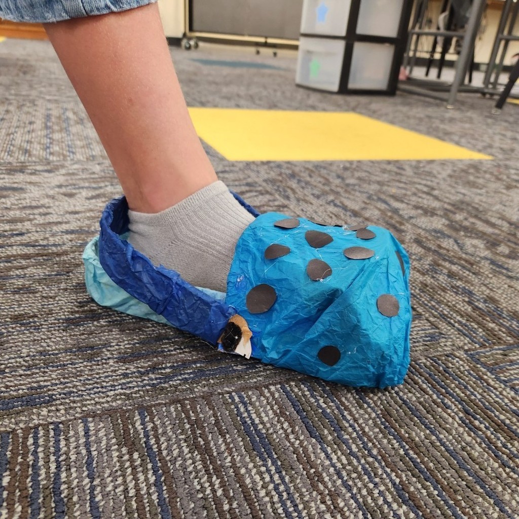 shoe
