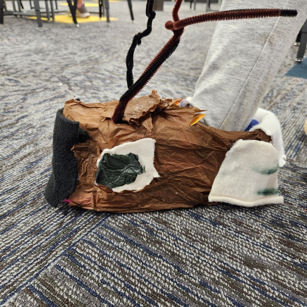 shoe