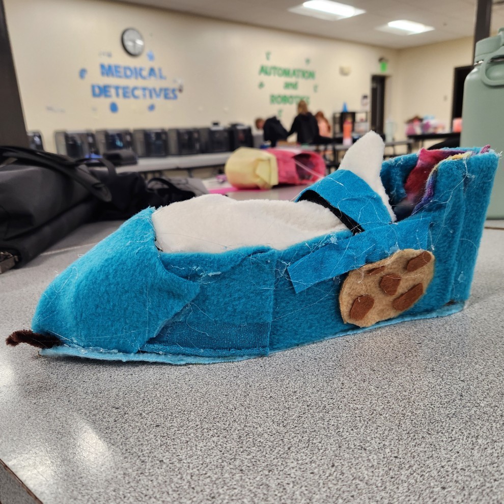shoe