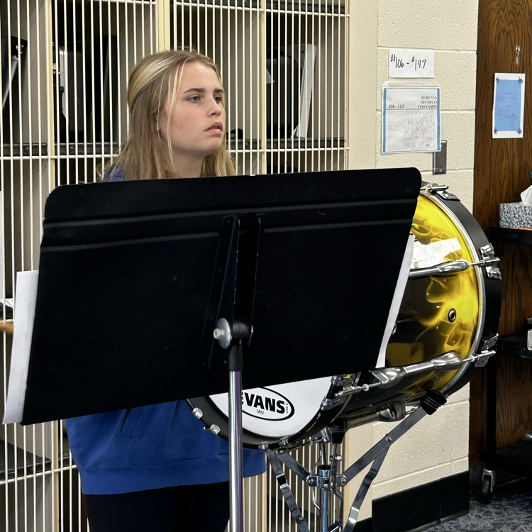 Basses