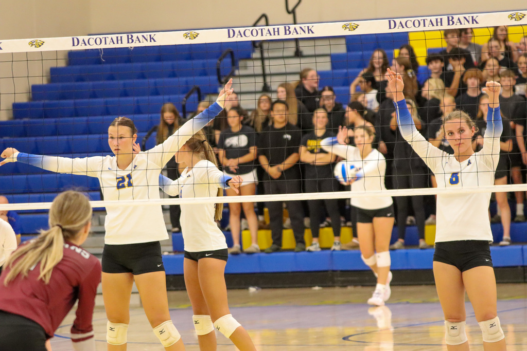 Golden Eagle volleyball game