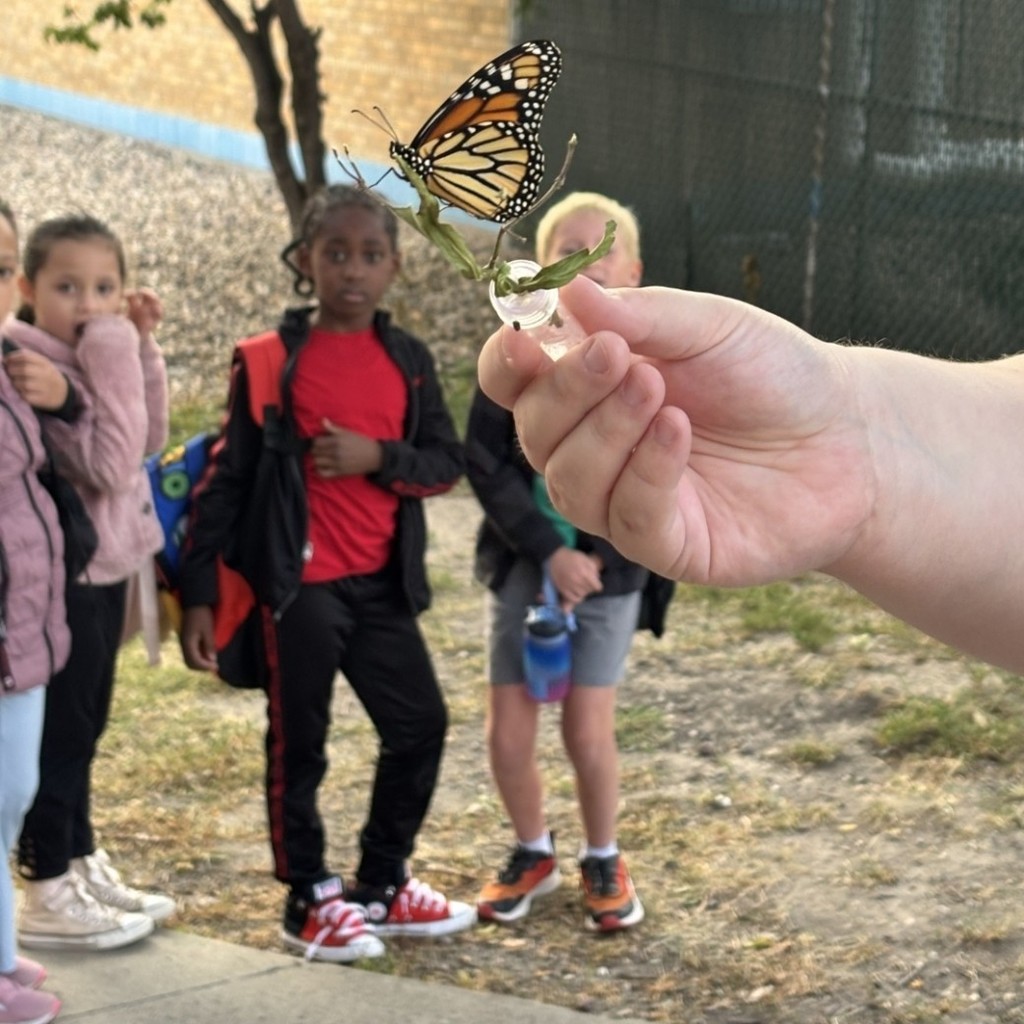 students admiring out butterfly