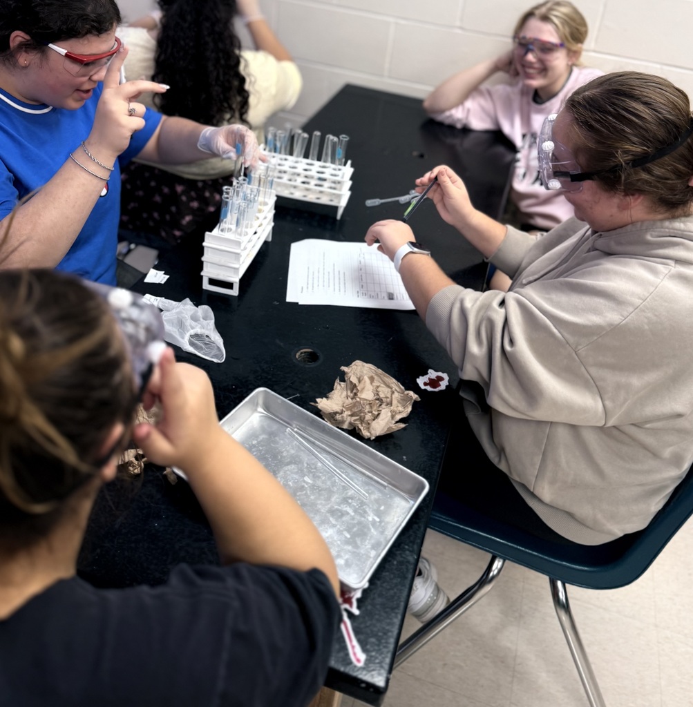 Applying real-world forensic techniques — students analyze chemical evidence.