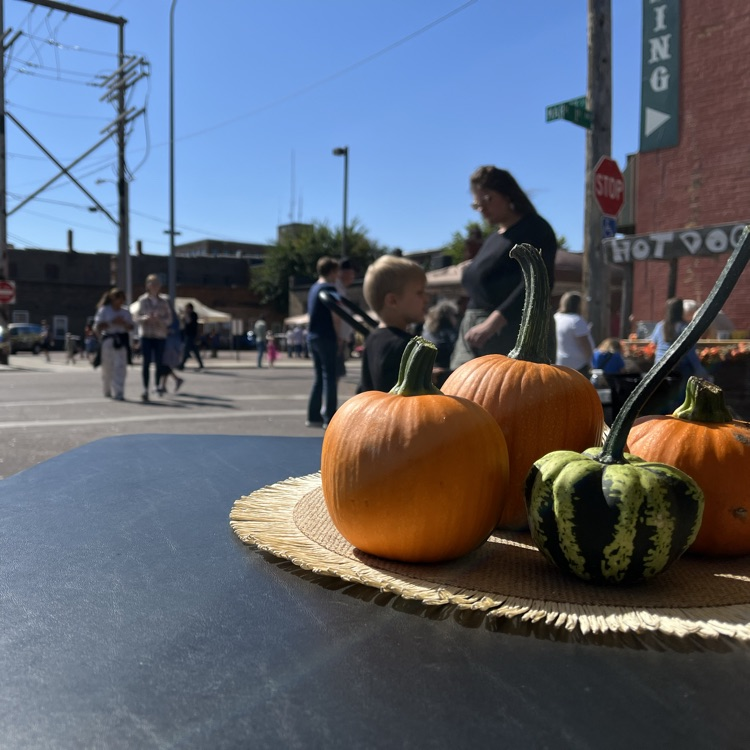 Pumpkins at DPM harvest stroll