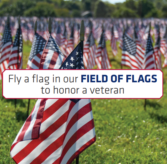 Field of Flags