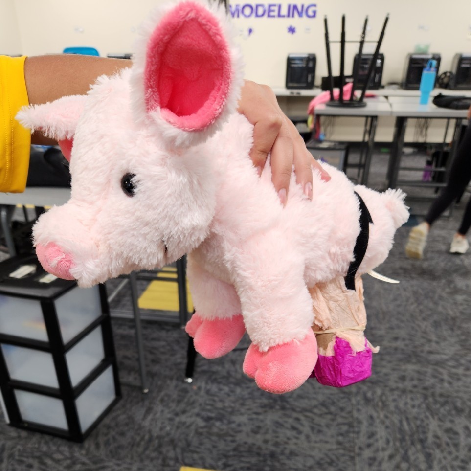 pig