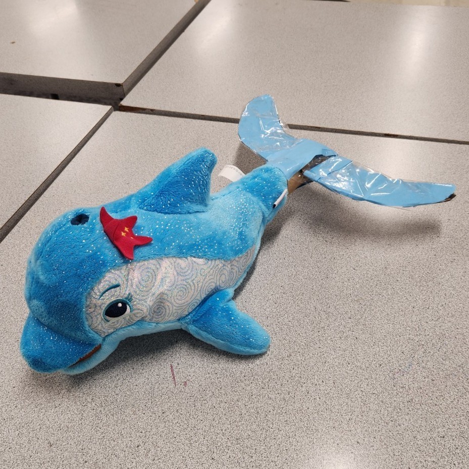 dolphin 
