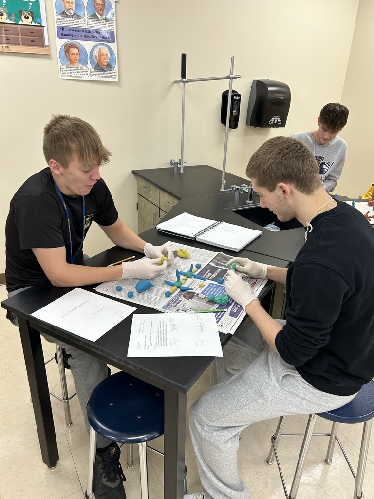 AP Chemistry Molecular Modeling