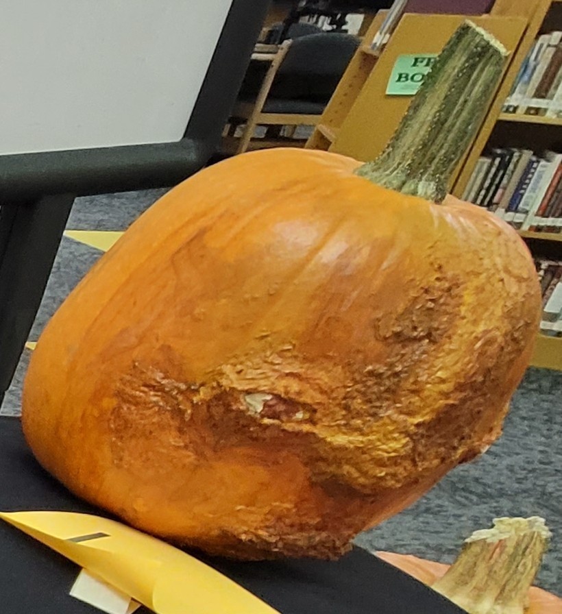 Kaelyn Beitelspacher took 2nd place at the CHS ART CLUB pumpkin decorating contest!