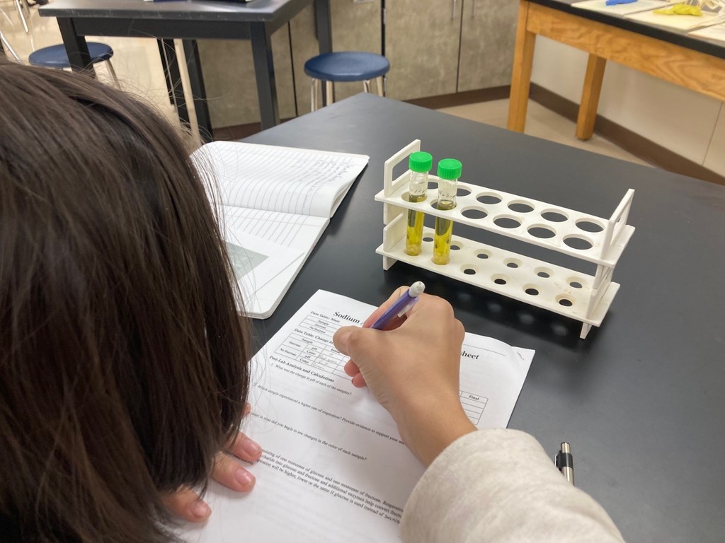 Comparing yeast spheres