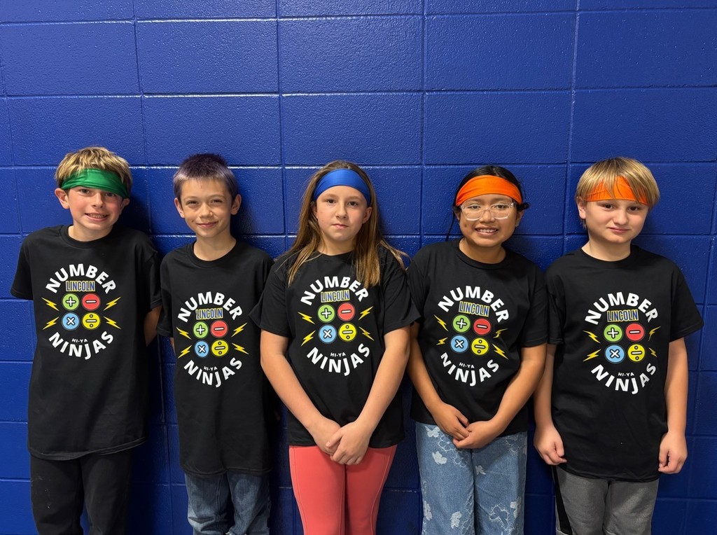 Number Ninjas team picture