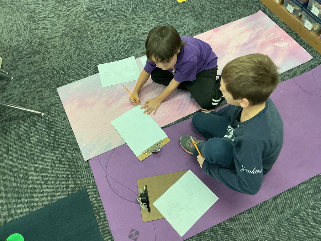 May Overby students making posters to show how plants and animals help each other