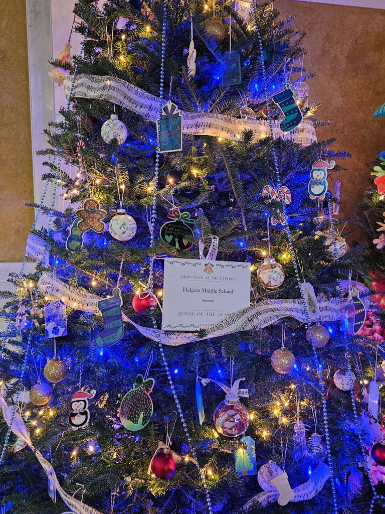 Holgate Tree in Pierre