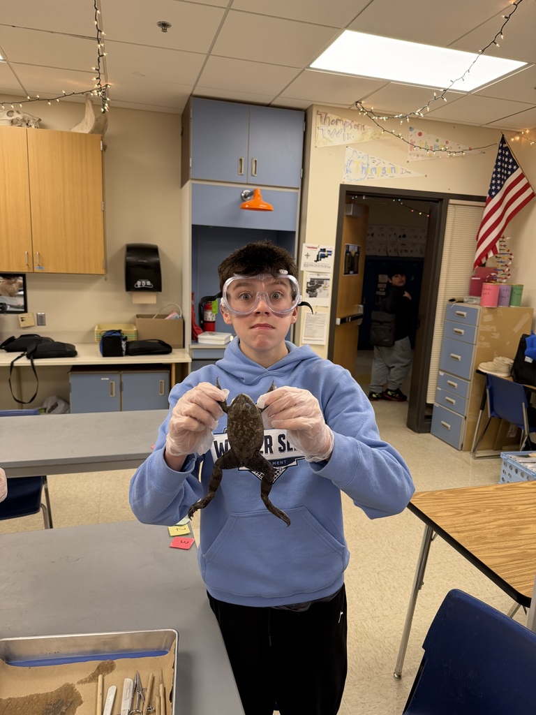 K. Thompson's Science class enjoyed dissecting frogs