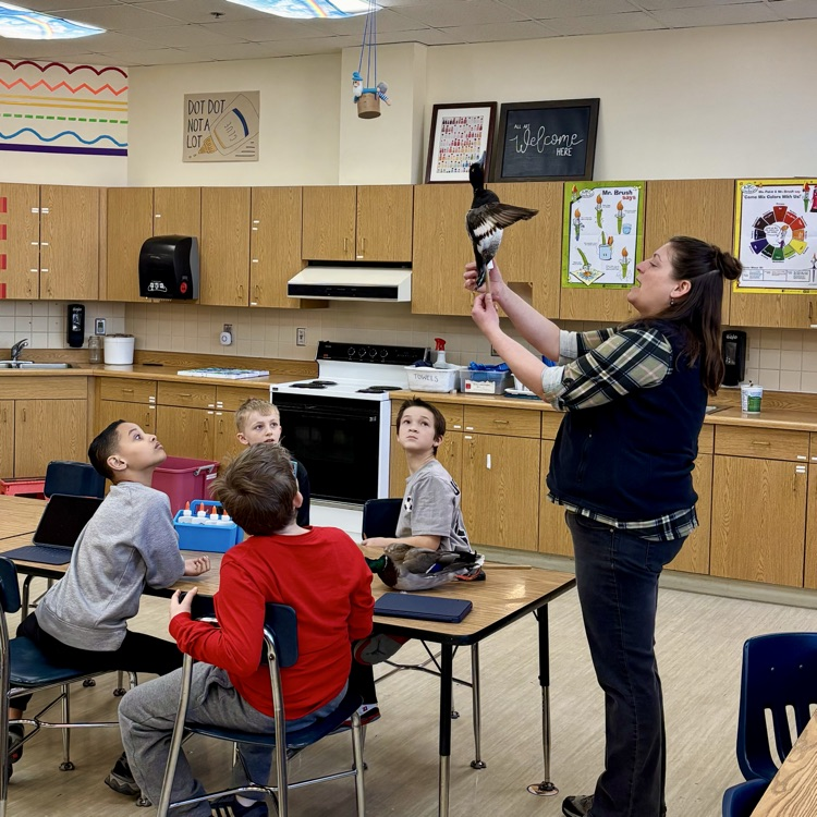 Students learn about different types of ducks.