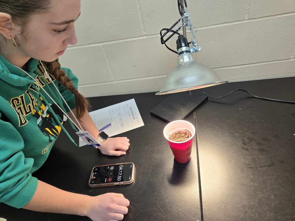 CHS Biology students explore how the behavior of Red Wiggler worms adjusts based on their ability to tolerate changes within their environment.