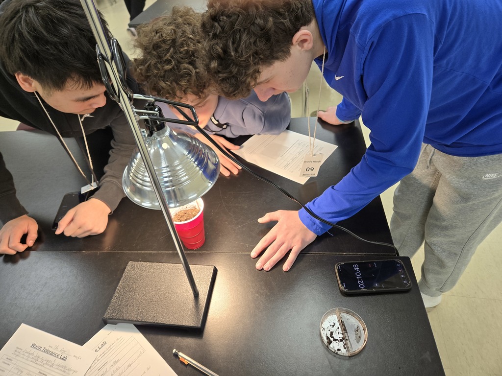 CHS Biology students explore how the behavior of Red Wiggler worms adjusts based on their ability to tolerate changes within their environment.