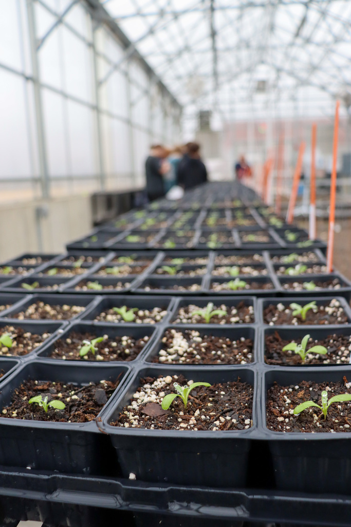 ATEC students touring the greenhouse at Career Connections event